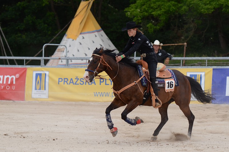 PRORODEO TOUR 2011 HALTER VALLEY