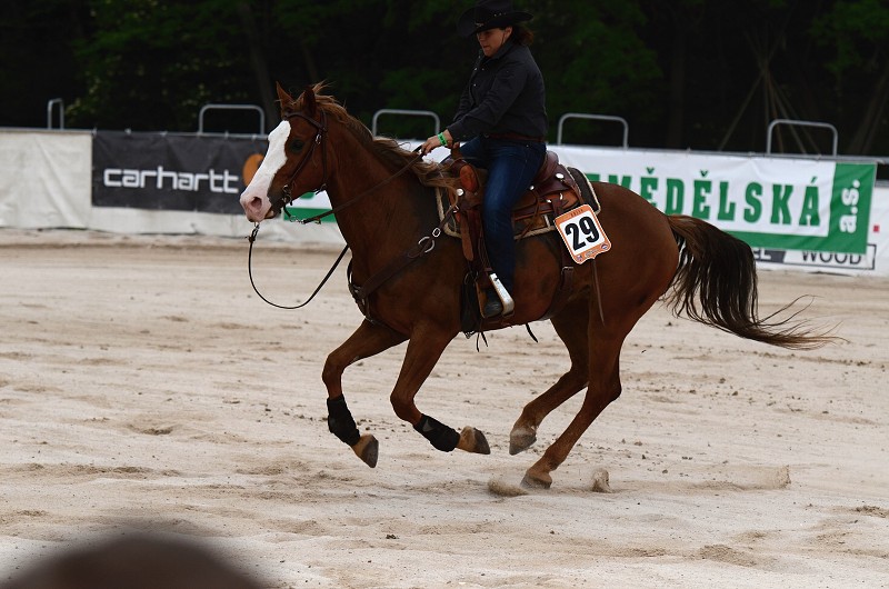 PRORODEO TOUR 2011 HALTER VALLEY