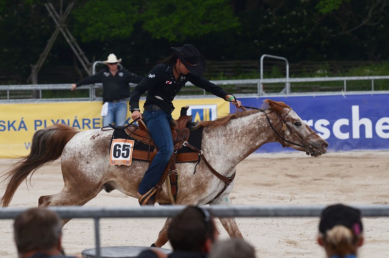 PRORODEO TOUR 2011 HALTER VALLEY