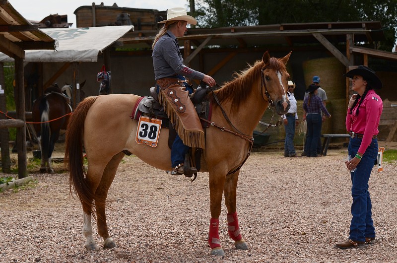 PRORODEO TOUR 2011 HALTER VALLEY