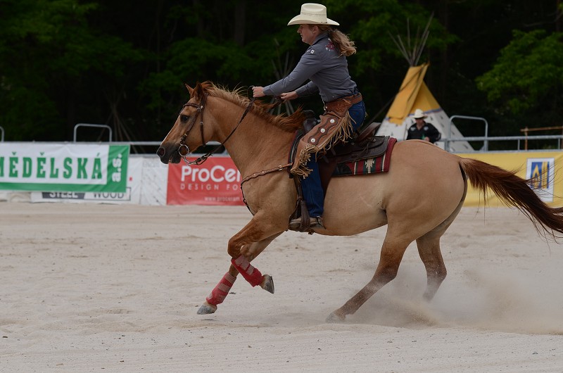 PRORODEO TOUR 2011 HALTER VALLEY