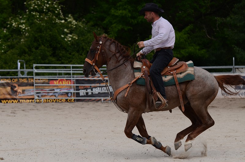 PRORODEO TOUR 2011 HALTER VALLEY