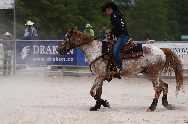 PRORODEO TOUR 2011 HALTER VALLEY