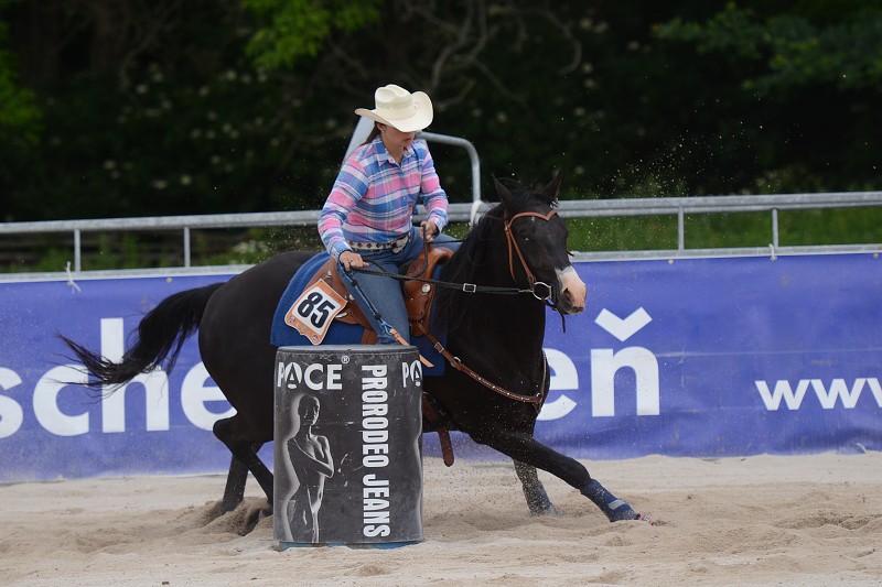PRORODEO TOUR 2011 HALTER VALLEY